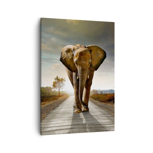 Bild auf Leinwand - Leinwandbild - Ein Elefant, der bei Sonnenuntergang auf einer Straße durch eine Landschaft läuft - 50x70cm - Und schon gar nicht in einem Porzellanlager - Moderne Wanddekoration für Wohnzimmer und Schlafzimmer ARTTOR