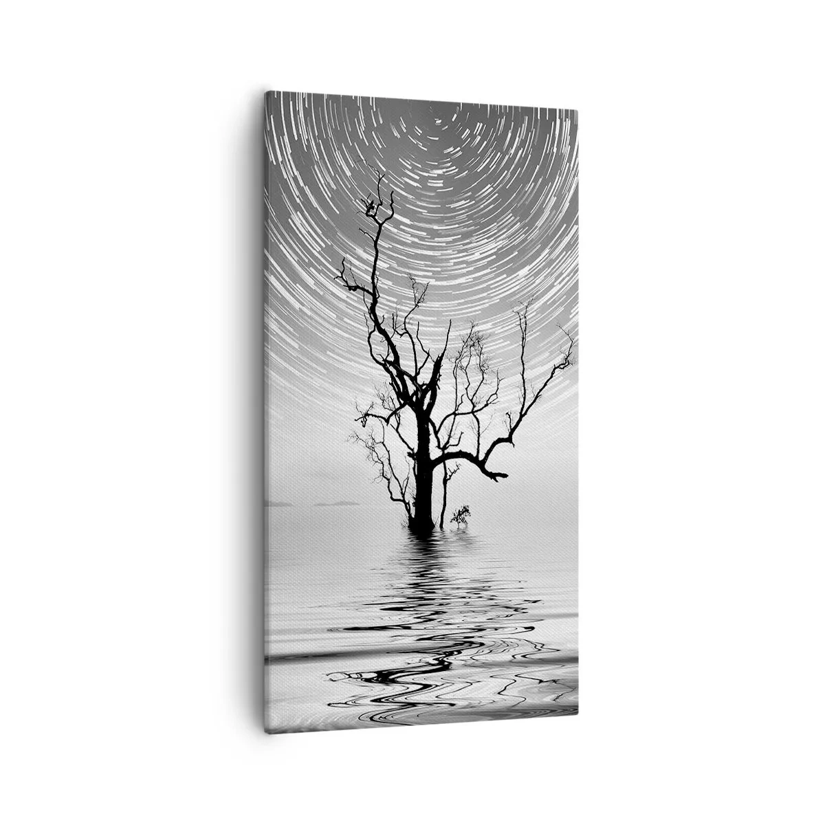 Bild auf Leinwand - Leinwandbild - Eine Sinfonie der Natur - 55x100 cm