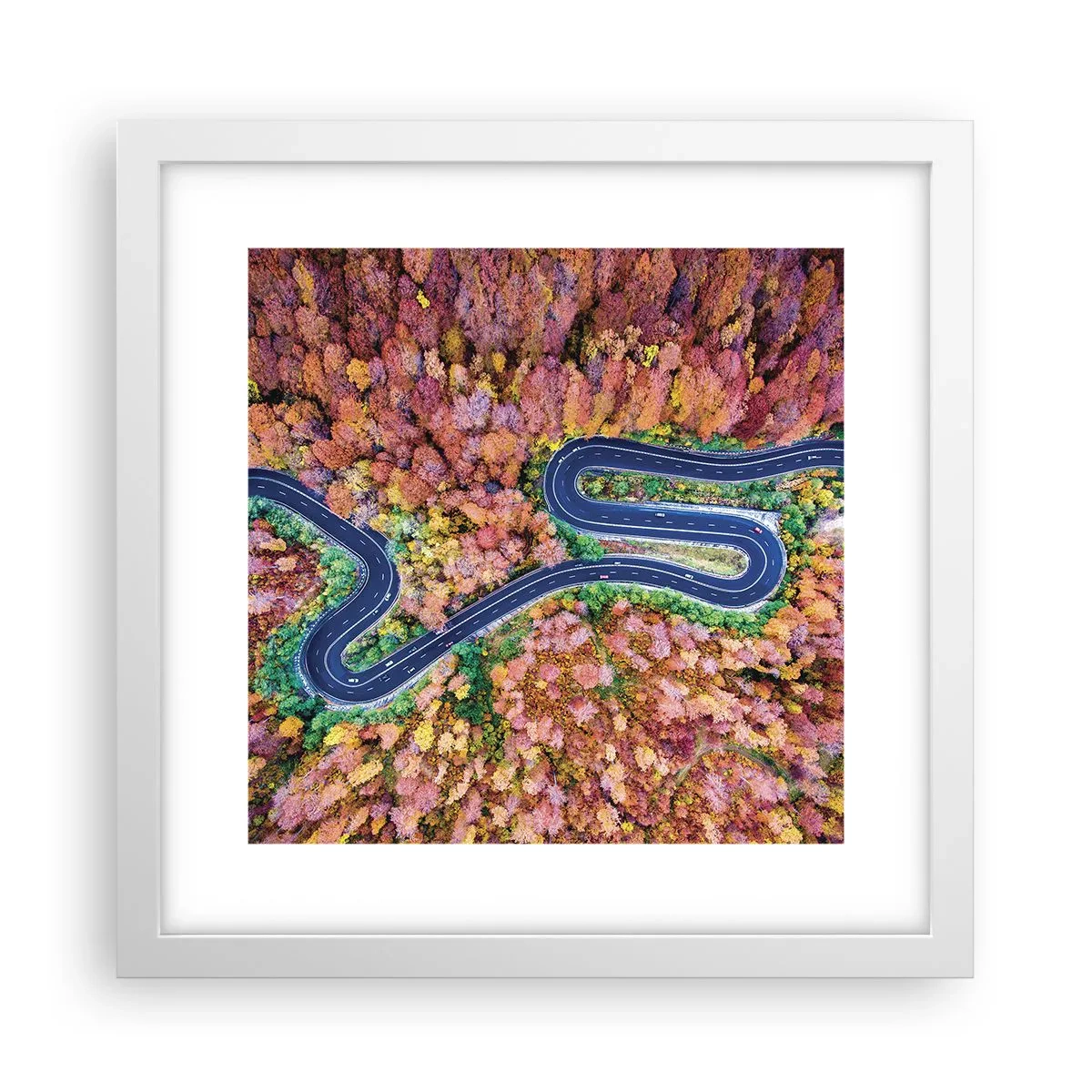 Poster in einem weißen Rahmen - Kurvenreicher Weg durch den Wald - 30x30 cm
