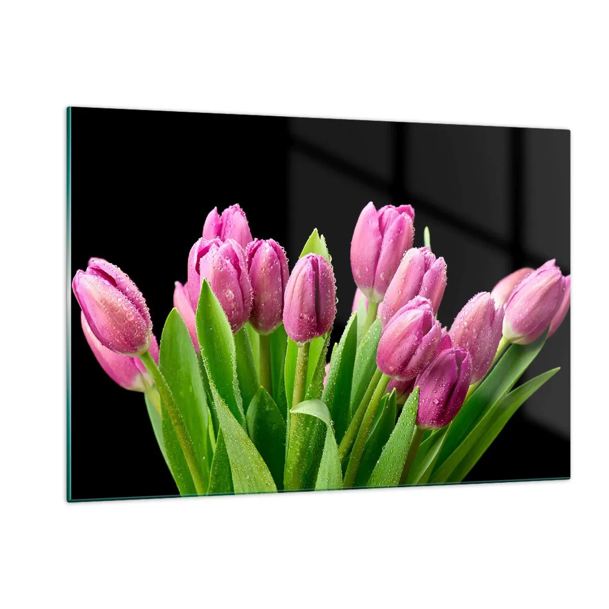 Glasbild - Bild auf glas - Ein Strauß rosa Tulpen, bedeckt mit Wassertropfen auf schwarzem Hintergrund. - 120x80cm - Lila Frühlingsfreude - Moderne Wanddekoration für Wohnzimmer und Schlafzimmer ARTTOR