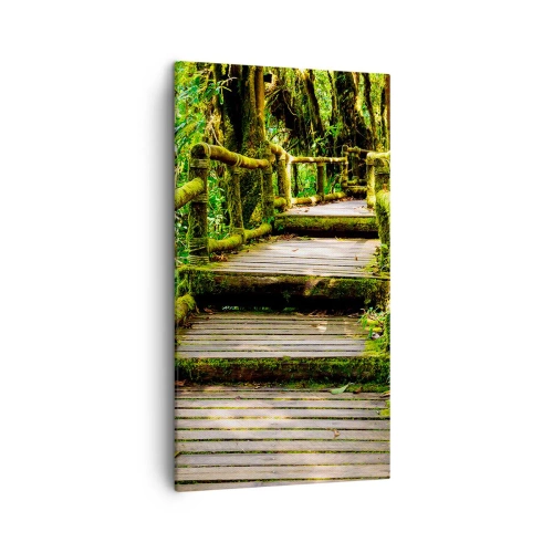 Bild auf Leinwand - Leinwandbild - Ein Korridor voller Grün - 45x80 cm