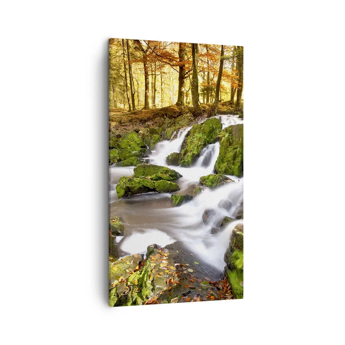 Bild auf Leinwand - Leinwandbild - Rasch durch den herbstlichen Wald - 45x80 cm