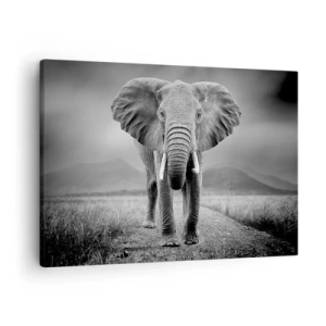 Bild auf Leinwand - Leinwandbild - Ein mächtiger Elefant in der Savanne in monochromen Tönen - 70x50cm - Der Gastgeber heißt willkommen - Moderne Wanddekoration für Wohnzimmer und Schlafzimmer ARTTOR