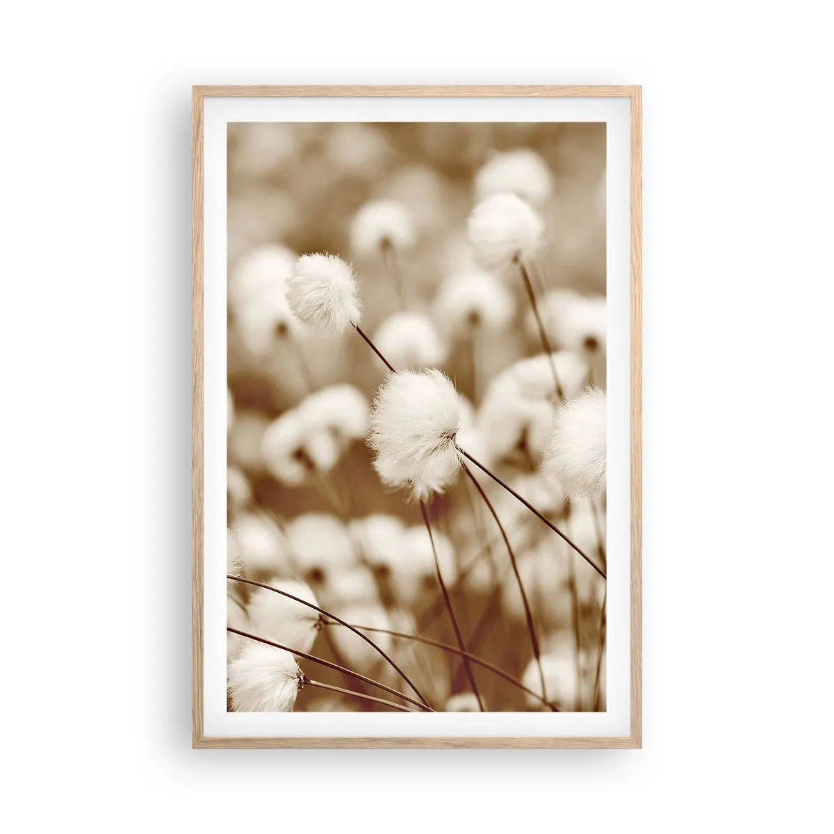 Poster in einem Rahmen aus heller Eiche - Flauschiges Kornfeld - 61x91 cm