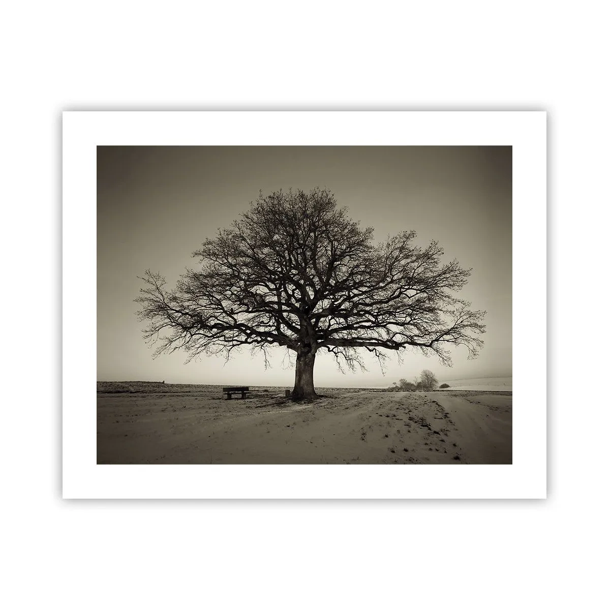 Poster - Von hier zu Ewigkeit - 50x40 cm