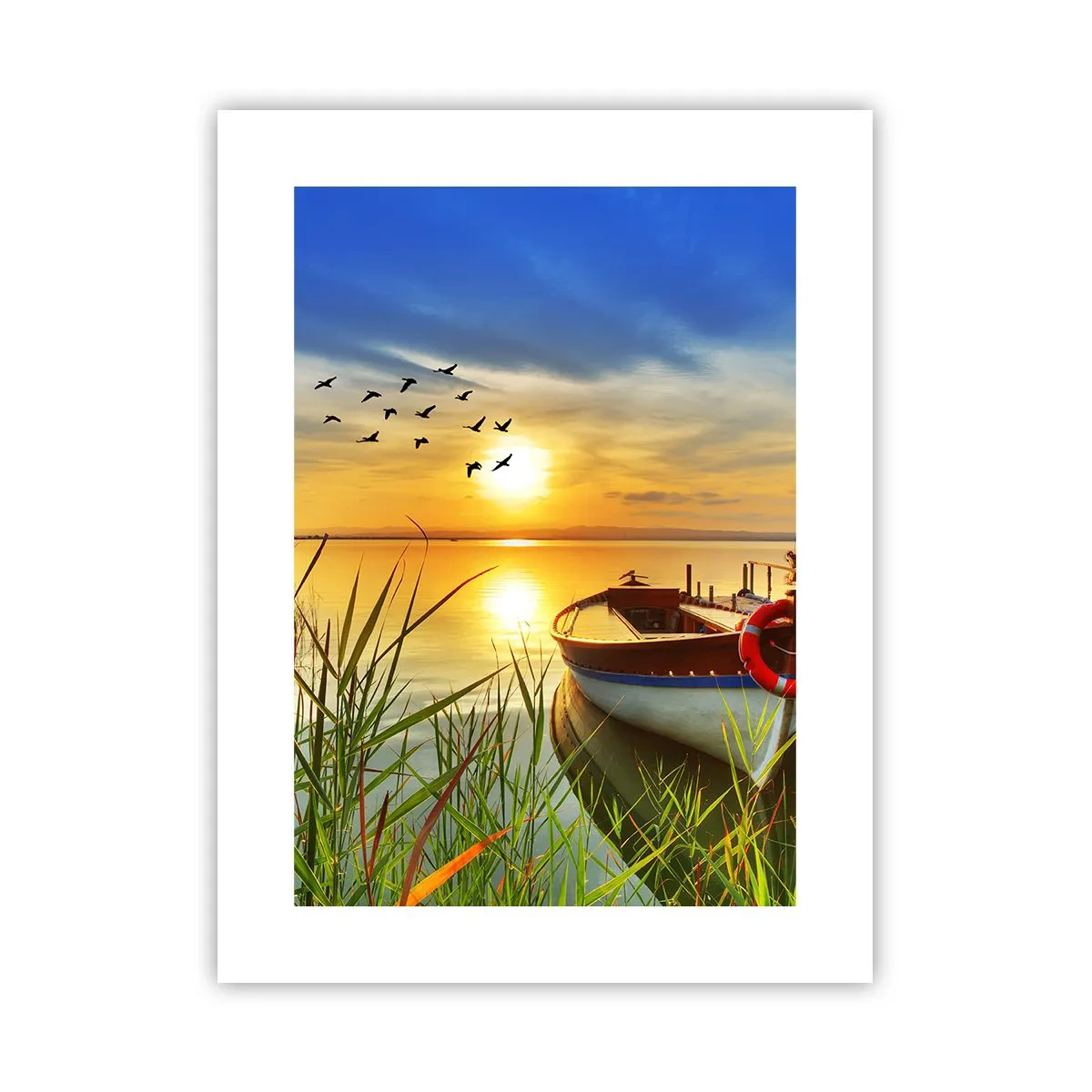 Poster - Die Kormorane fliegen schon weg - 30x40 cm