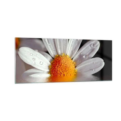 Glasbild - Bild auf glas - Die aufgehende Sonne der Gänseblümchen - 100x40 cm