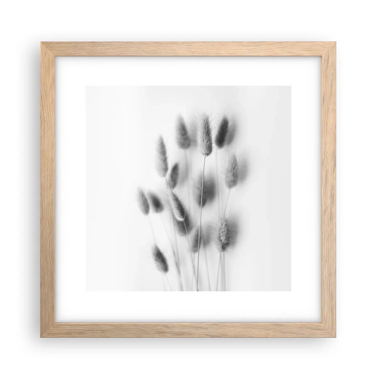 Poster in einem Rahmen aus heller Eiche - Eure flauschige Grashoheit - 30x30 cm