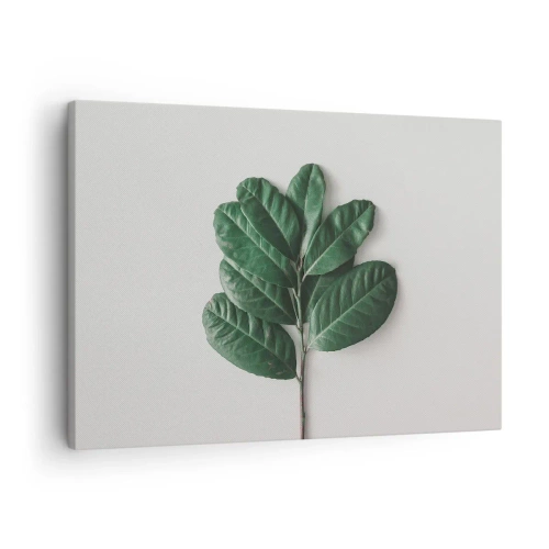 Bild auf Leinwand - Leinwandbild - Ein Zweig grüner Blätter auf hellem Hintergrund - 70x50cm - Eine Zeichnung purer Natur - Moderne Wanddekoration für Wohnzimmer und Schlafzimmer ARTTOR