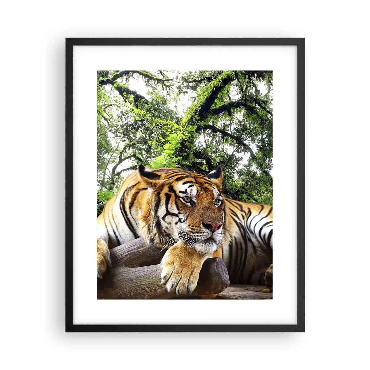 Poster in einem schwarzem Rahmen - Hochachtungsvoll - 40x50 cm