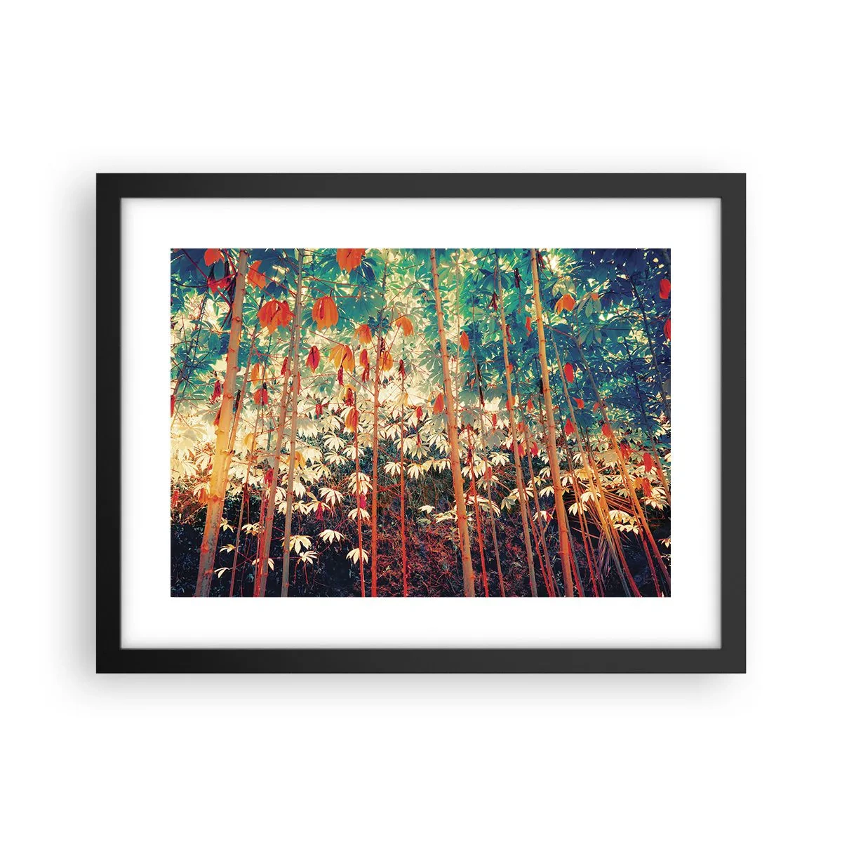 Poster in einem schwarzem Rahmen - Das geheime Leben der Blätter - 40x30 cm