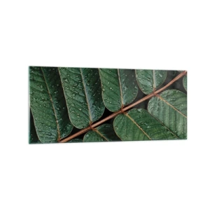 Glasbild - Bild auf glas - Makroaufnahme von grünen Blättern mit Tautropfen - 120x50cm - Im grünen Rhythmus - Moderne Wanddekoration für Wohnzimmer und Schlafzimmer ARTTOR
