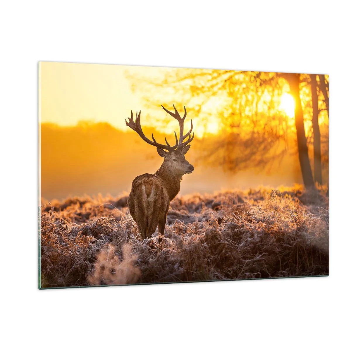 Glasbild - Bild auf glas - Hirsch in den Strahlen der aufgehenden Sonne - 120x80cm - König des Herbstwaldes - Moderne Wanddekoration für Wohnzimmer und Schlafzimmer ARTTOR