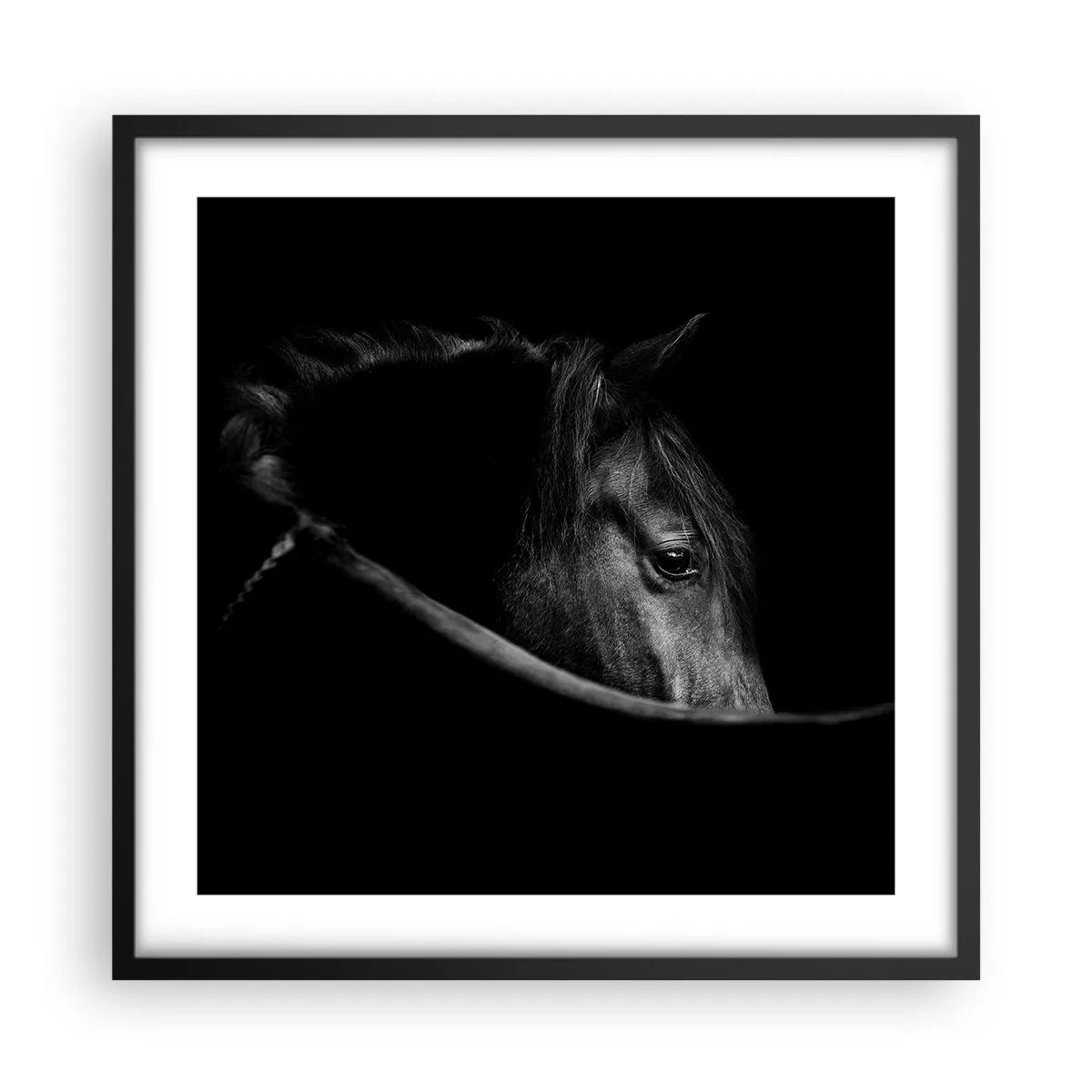 Poster in einem schwarzem Rahmen - Schwarzer Prinz - 50x50 cm