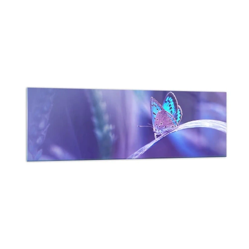 Glasbild - Bild auf glas - Ein zarter blauer Schmetterling auf einem Stängel in violettem Licht - 160x50cm - Ein Juwel der Natur - Moderne Wanddekoration für Wohnzimmer und Schlafzimmer ARTTOR