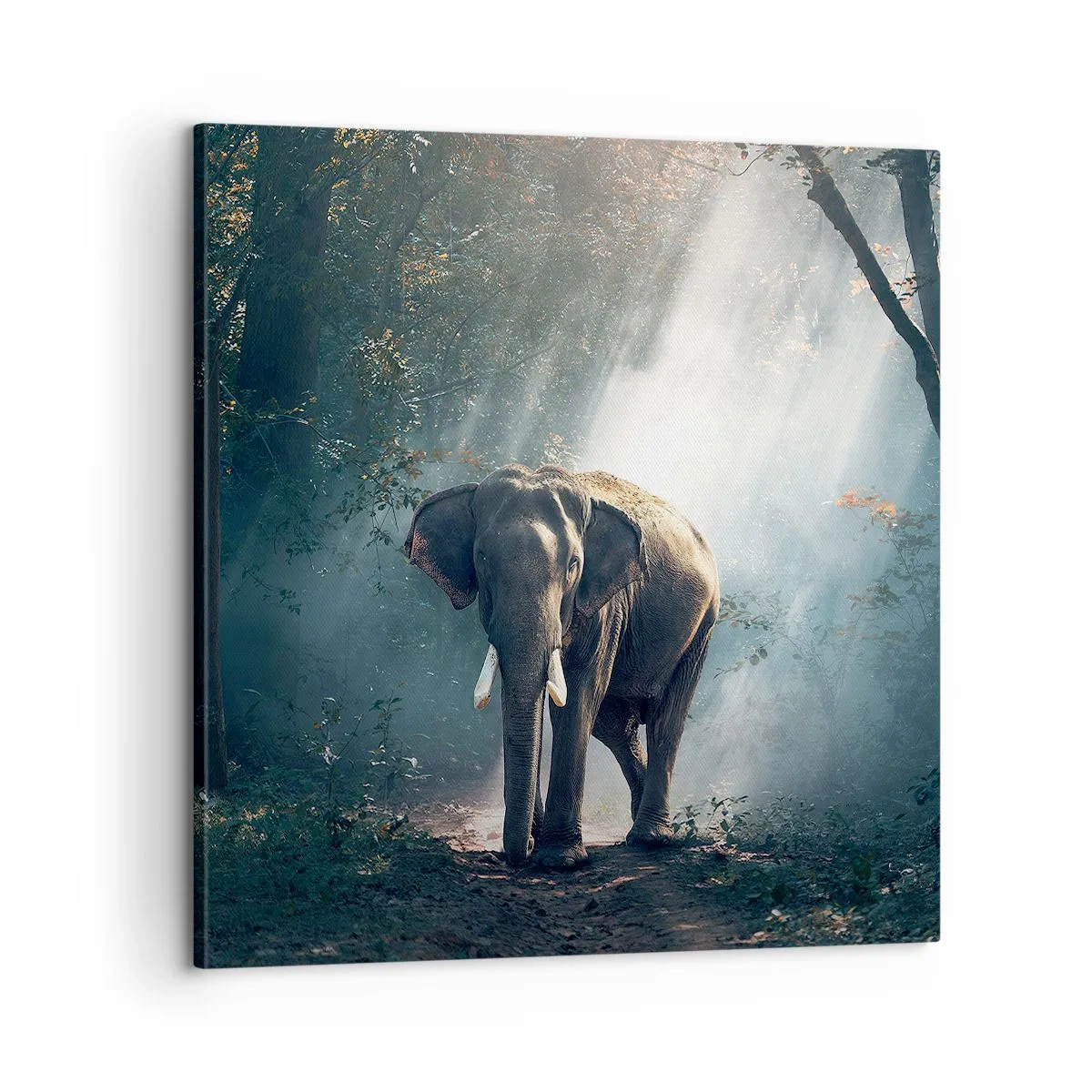 Bild auf Leinwand - Leinwandbild - Ein gemütlicher Spaziergang - 60x60 cm