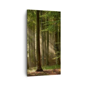 Bild auf Leinwand - Leinwandbild - Strahlend an einem Frühlingsmorgen - 45x80 cm