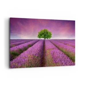 Bild auf Leinwand - Leinwandbild - Ein Lavendelfeld mit einem einsamen Baum und einem violetten Himmel - 100x70cm - Auf Lavendelfeldern - Moderne Wanddekoration für Wohnzimmer und Schlafzimmer ARTTOR