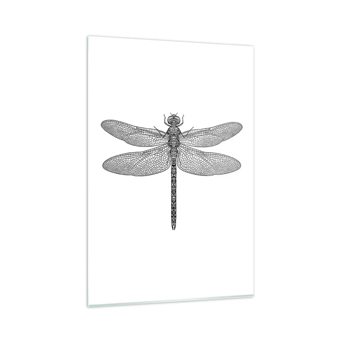 Glasbild - Bild auf glas - Schwarz-weiße Zeichnung einer Libelle auf weißem Hintergrund im minimalistischen Stil - 80x120cm - Präzision der Natur - Moderne Wanddekoration für Wohnzimmer und Schlafzimmer ARTTOR