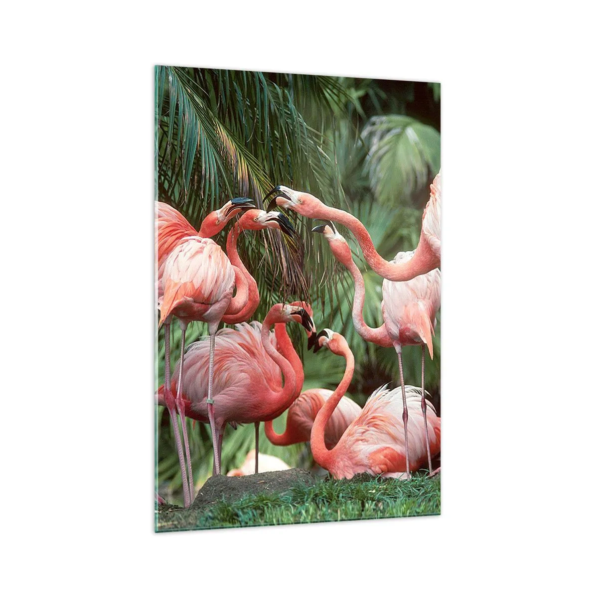 Glasbild - Bild auf glas - Eine Gruppe von Flamingos in einer tropischen Umgebung, umgeben von Palmen - 70x100cm - Nachmittagsklatsch - Moderne Wanddekoration für Wohnzimmer und Schlafzimmer ARTTOR