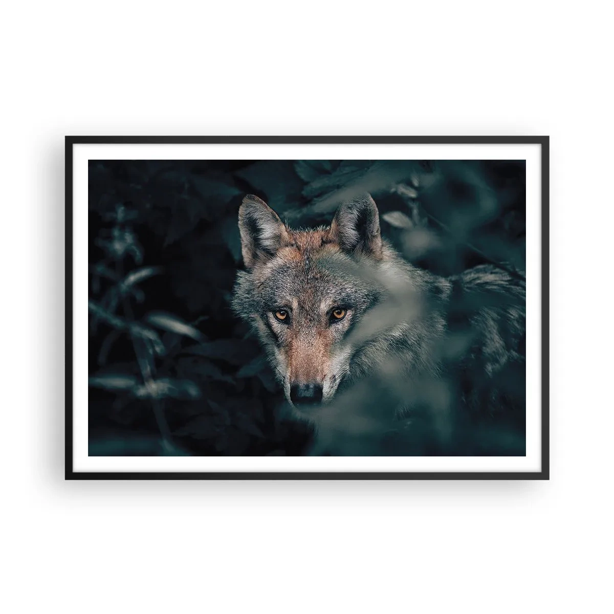 Poster in einem schwarzem Rahmen - Ein Wolf in seiner natürlichen Umgebung, der aus den Tiefen des Waldes hervorschaut. - 100x70cm - Jäger - Moderne Wanddekoration für Wohnzimmer und Schlafzimmer ARTTOR