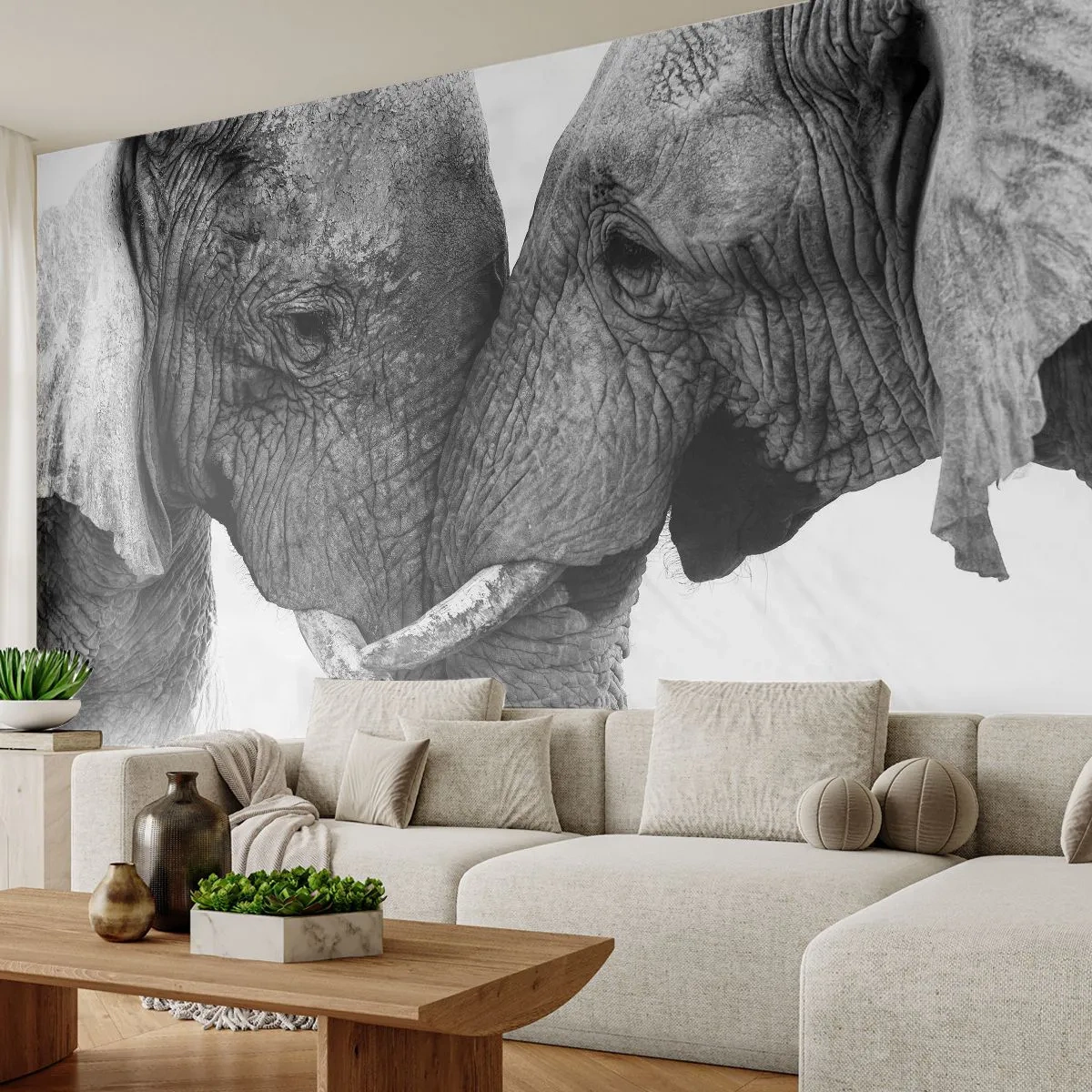 Selbstklebende Fototapete Deluxe Sticker - Herzliches Geständnis - Elefant, Tiere, Afrika - 500x350 cm