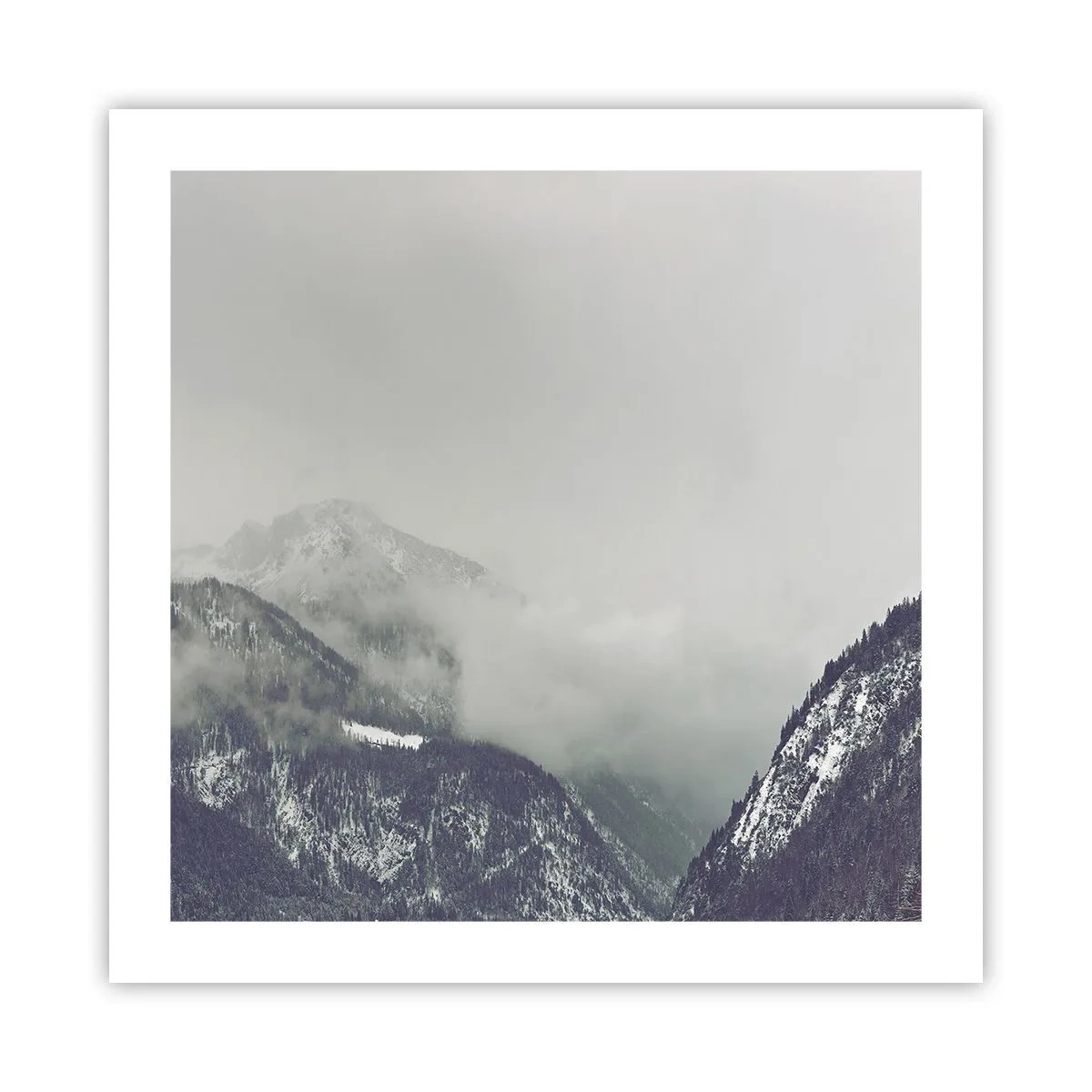 Poster - Nebliges Tal - 50x50 cm