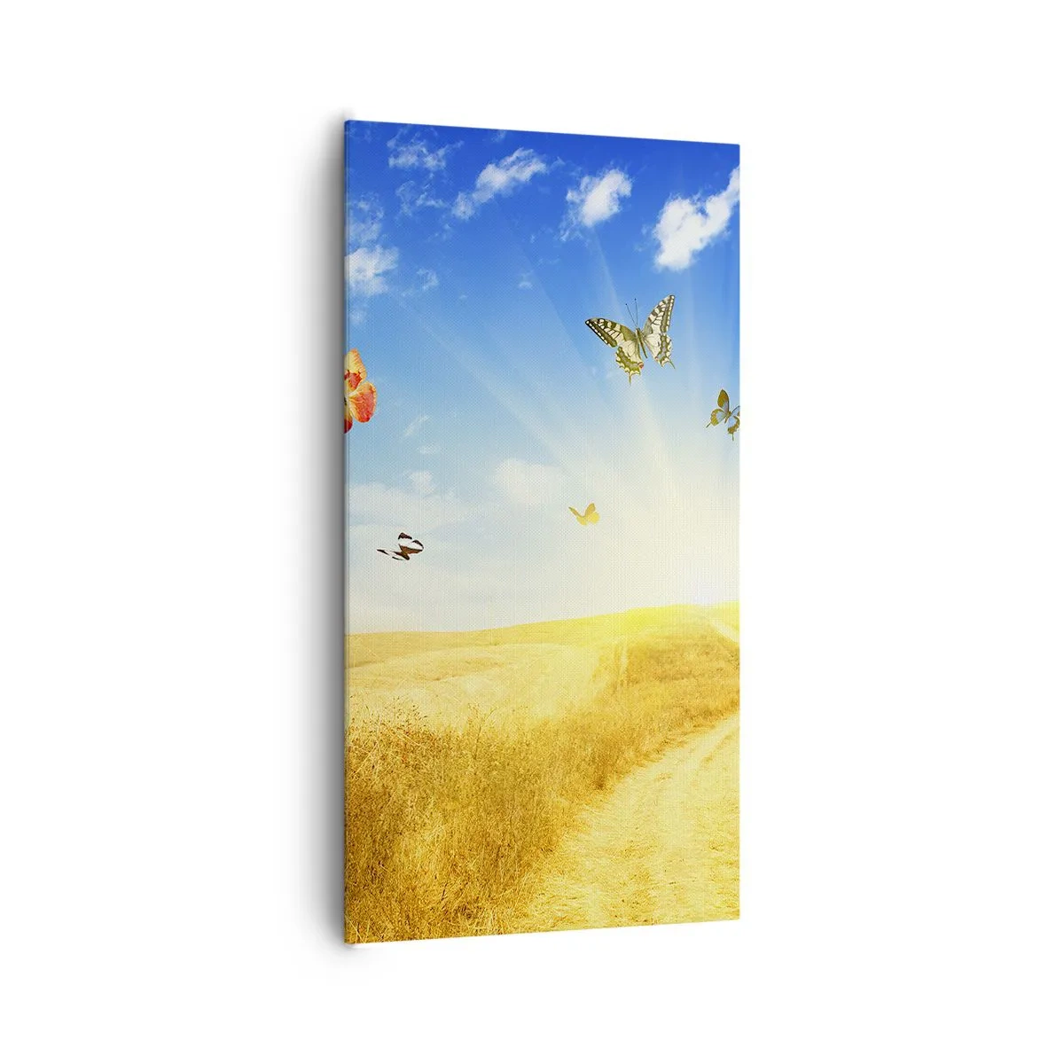 Bild auf Leinwand - Leinwandbild - Und wie kann man den Sommer nicht lieben? - 65x120 cm