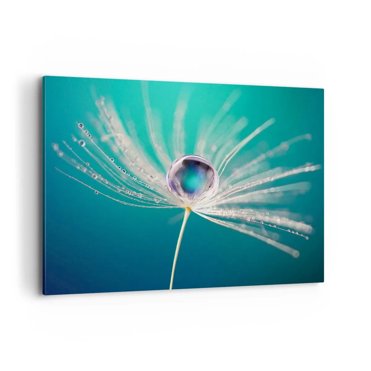 Bild auf Leinwand - Leinwandbild - Makroaufnahme eines Wassertropfens auf einem zarten Löwenzahnsamen - 100x70cm - Mystischer Moment - Moderne Wanddekoration für Wohnzimmer und Schlafzimmer ARTTOR