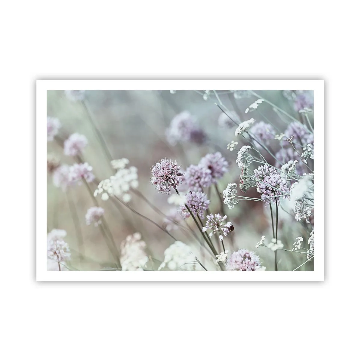 Poster - Zarte Blüten in Pastelltönen - 100x70cm - Süße filigrane Kräuter - Moderne Wanddekoration für Wohnzimmer und Schlafzimmer ARTTOR