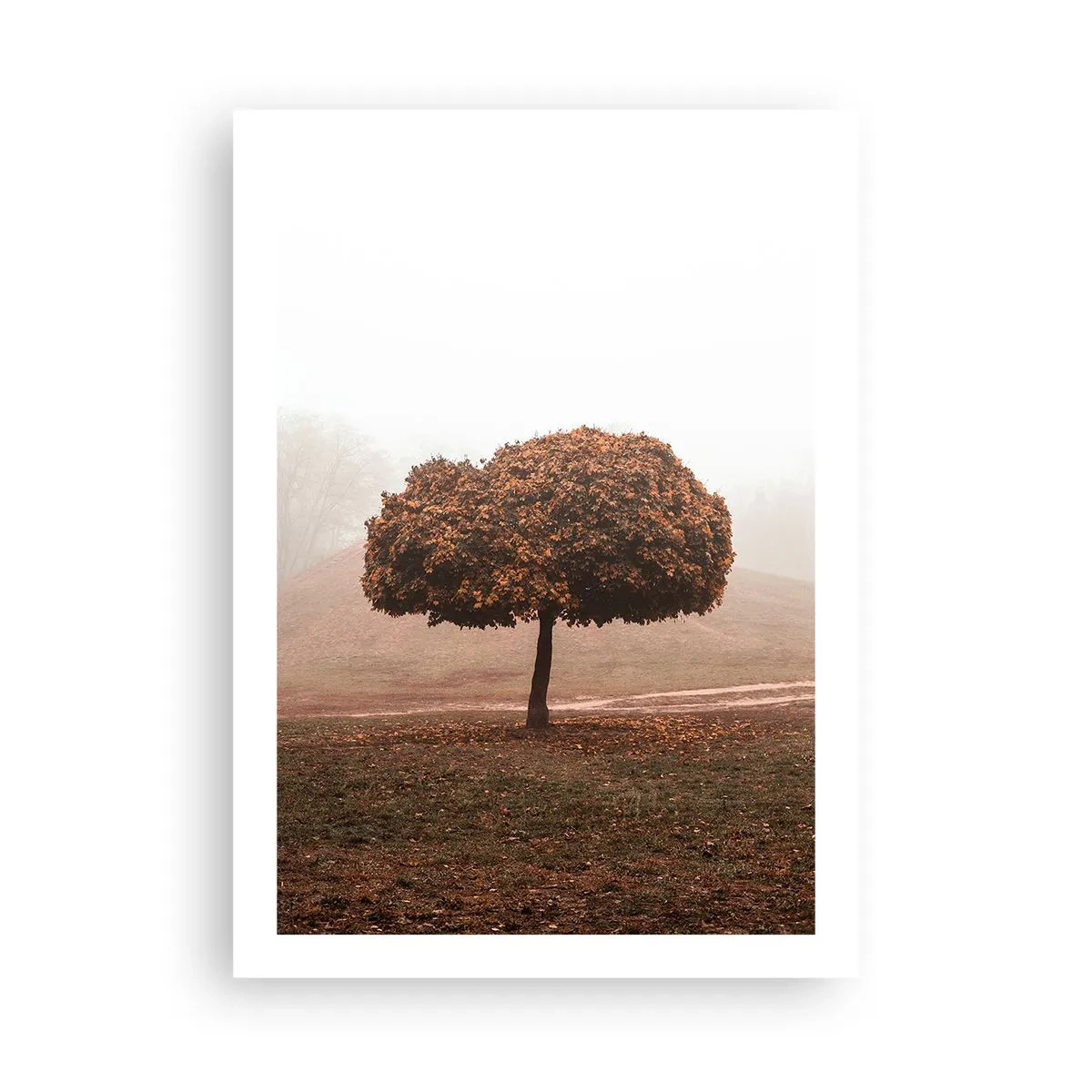Poster - Ein einsamer Baum im Herbstnebel - 50x70cm - Nach einem anstrengenden Sommer - Moderne Wanddekoration für Wohnzimmer und Schlafzimmer ARTTOR