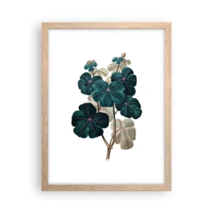 Poster in einem Rahmen aus heller Eiche - Aus dem alten Herbarium - 30x40 cm