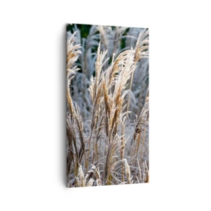 Bild auf Leinwand - Leinwandbild - Gekleidet mit Frost - 45x80 cm