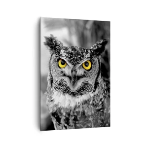 Bild auf Leinwand - Leinwandbild - Eine Schwarz-Weiß-Aufnahme einer Eule mit gelben Augen - 70x100cm - Nichts wird sich verstecken - Moderne Wanddekoration für Wohnzimmer und Schlafzimmer ARTTOR