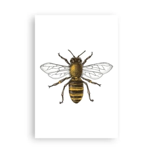 Poster - Schön und gut - 61x91 cm