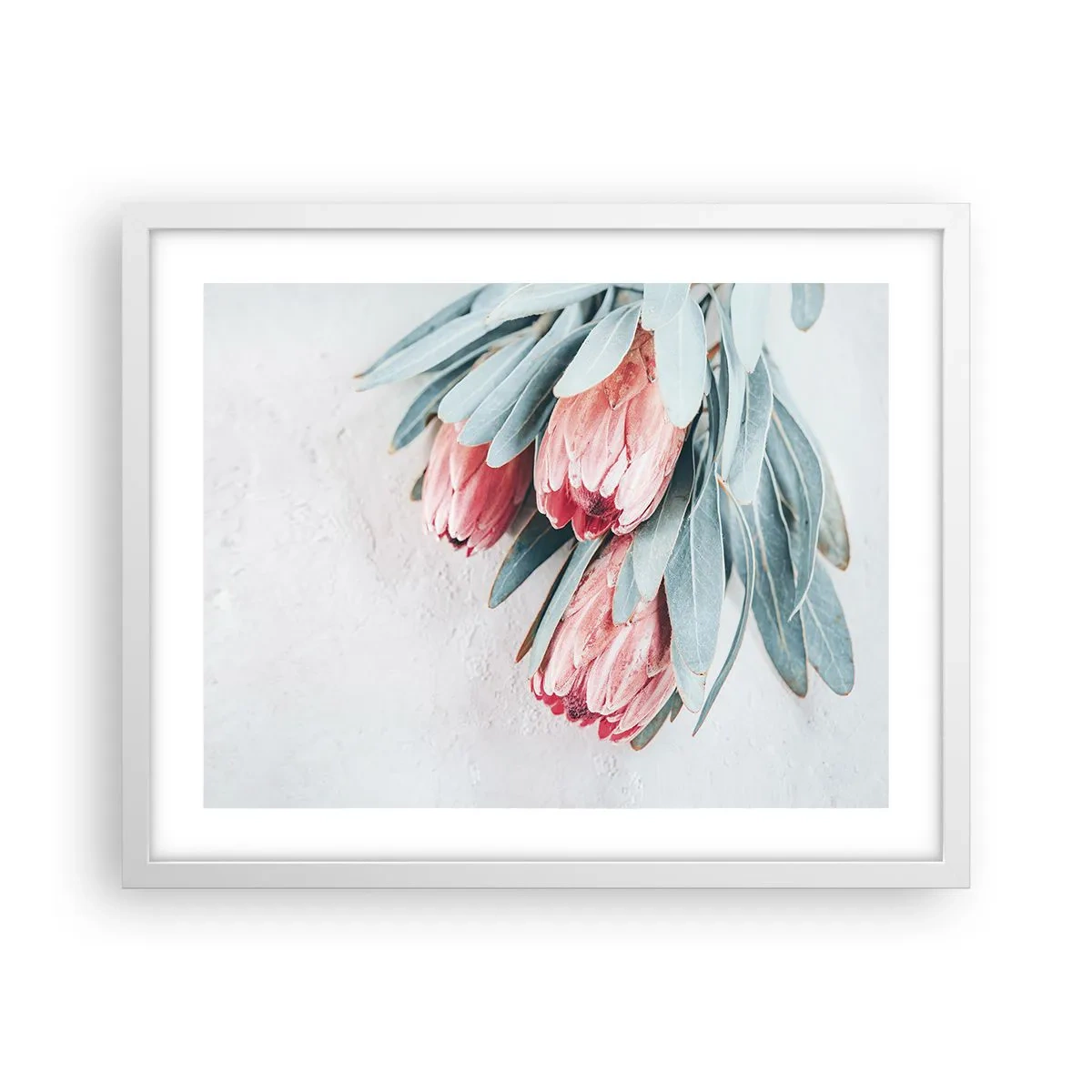 Poster in einem weißen Rahmen - Schämen sich für ihre eigene Schönheit - 50x40 cm