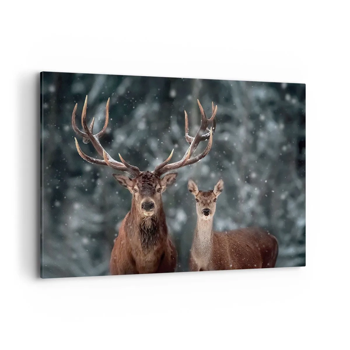 Bild auf Leinwand - Leinwandbild - Hirsche im verschneiten Winterwald - 100x70cm - Herr des Waldes mit seiner Frau - Moderne Wanddekoration für Wohnzimmer und Schlafzimmer ARTTOR
