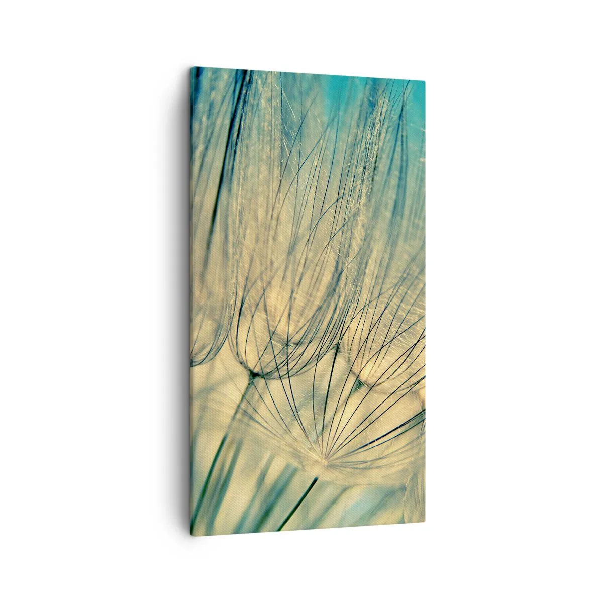 Bild auf Leinwand - Leinwandbild - In Erwartung des Windes - 45x80 cm