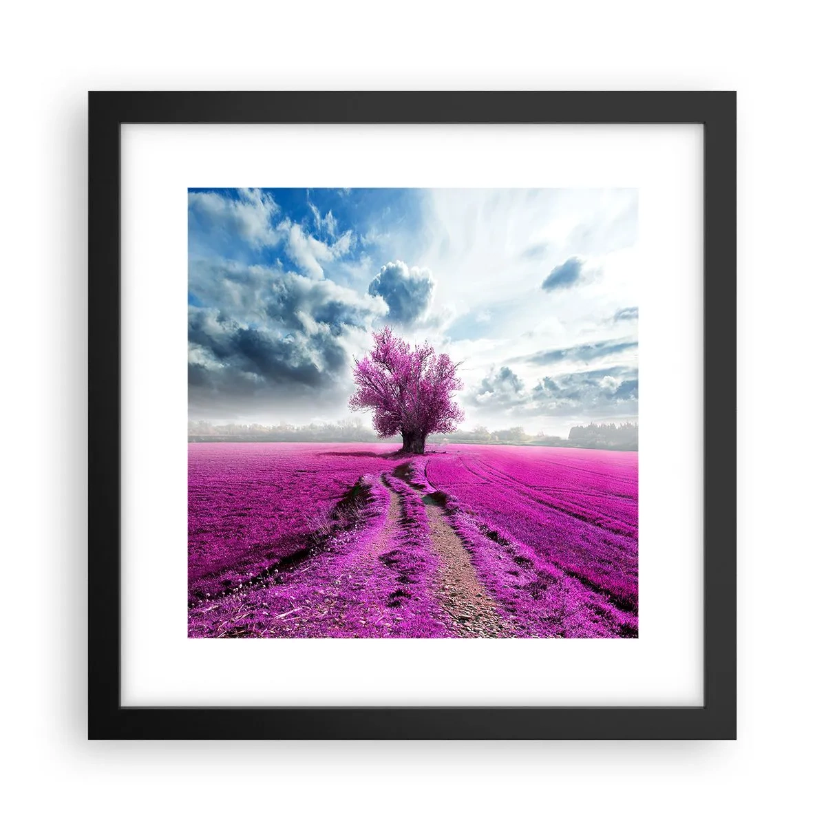Poster in einem schwarzem Rahmen - Heide - Wildnis - 30x30 cm