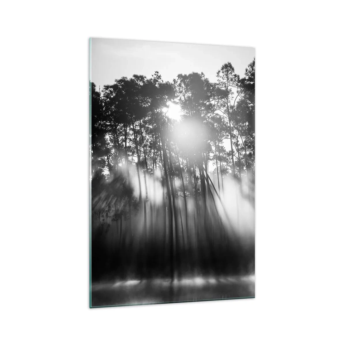 Glasbild - Bild auf glas - Schwarz-weißer Wald im Morgennebel - 70x100cm - Unaufhaltsame Sonne - Moderne Wanddekoration für Wohnzimmer und Schlafzimmer ARTTOR