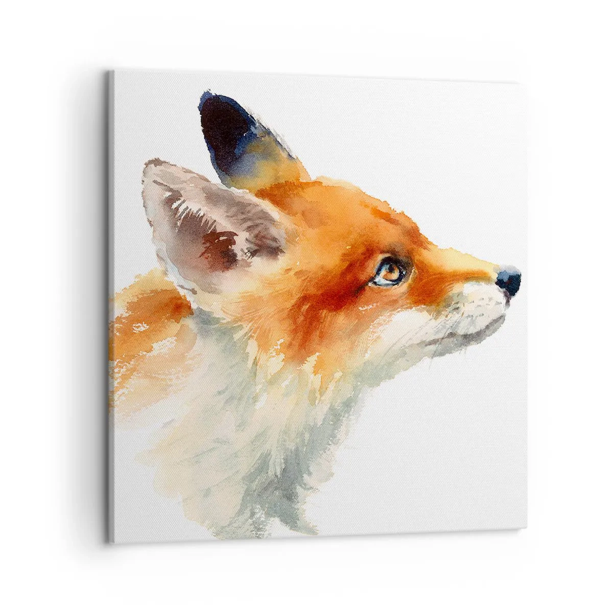 Bild auf Leinwand - Leinwandbild - Man kann nie vorsichtig genug sein - 50x50 cm