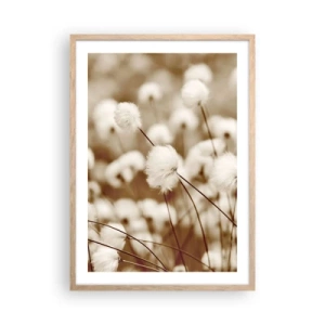 Poster in einem Rahmen aus heller Eiche - Flauschiges Kornfeld - 50x70 cm