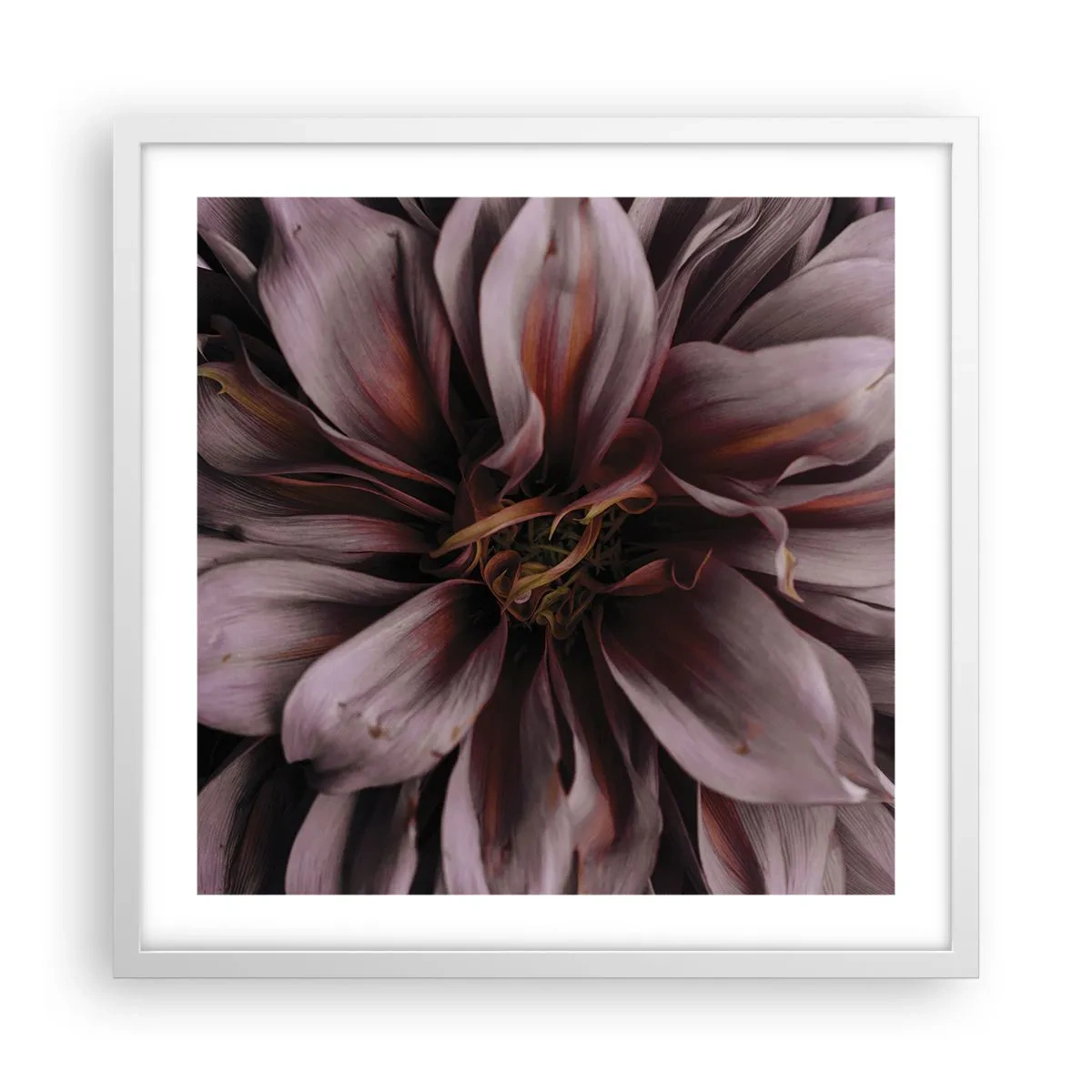 Poster in einem weißen Rahmen - Ein Blumenherz - 50x50 cm