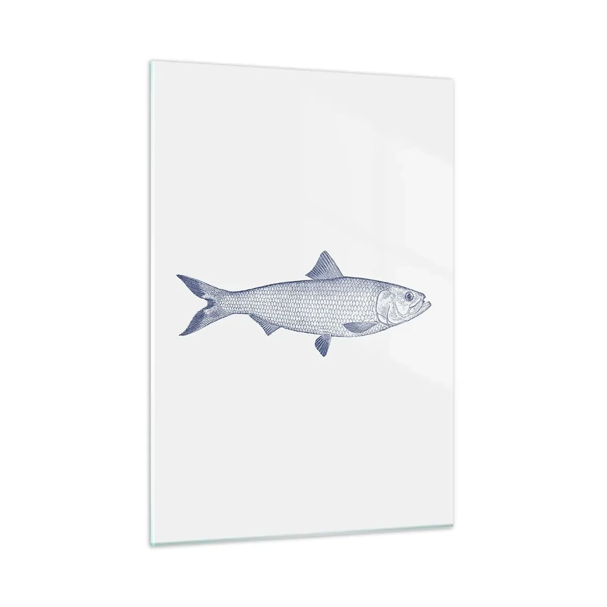 Glasbild - Bild auf glas - Fischskizze im Vintage-Stil auf hellem Hintergrund - 50x70cm - Grüße aus den nördlichen Meeren - Moderne Wanddekoration für Wohnzimmer und Schlafzimmer ARTTOR
