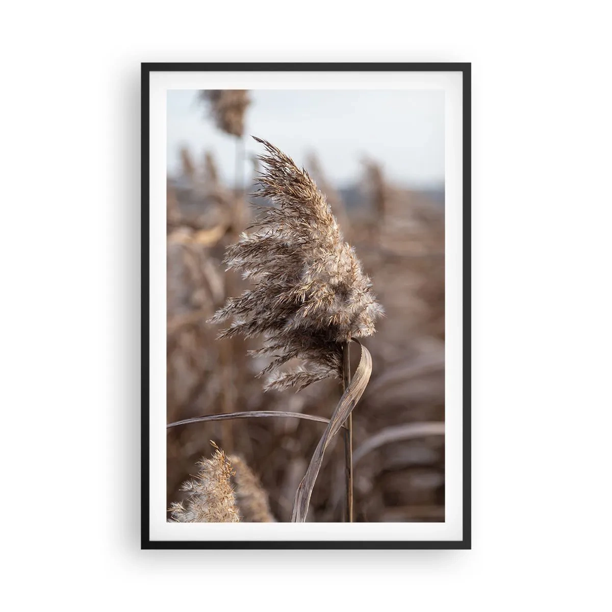 Poster in einem schwarzem Rahmen - Zeit, mit dem Wind zu gehen - 61x91 cm
