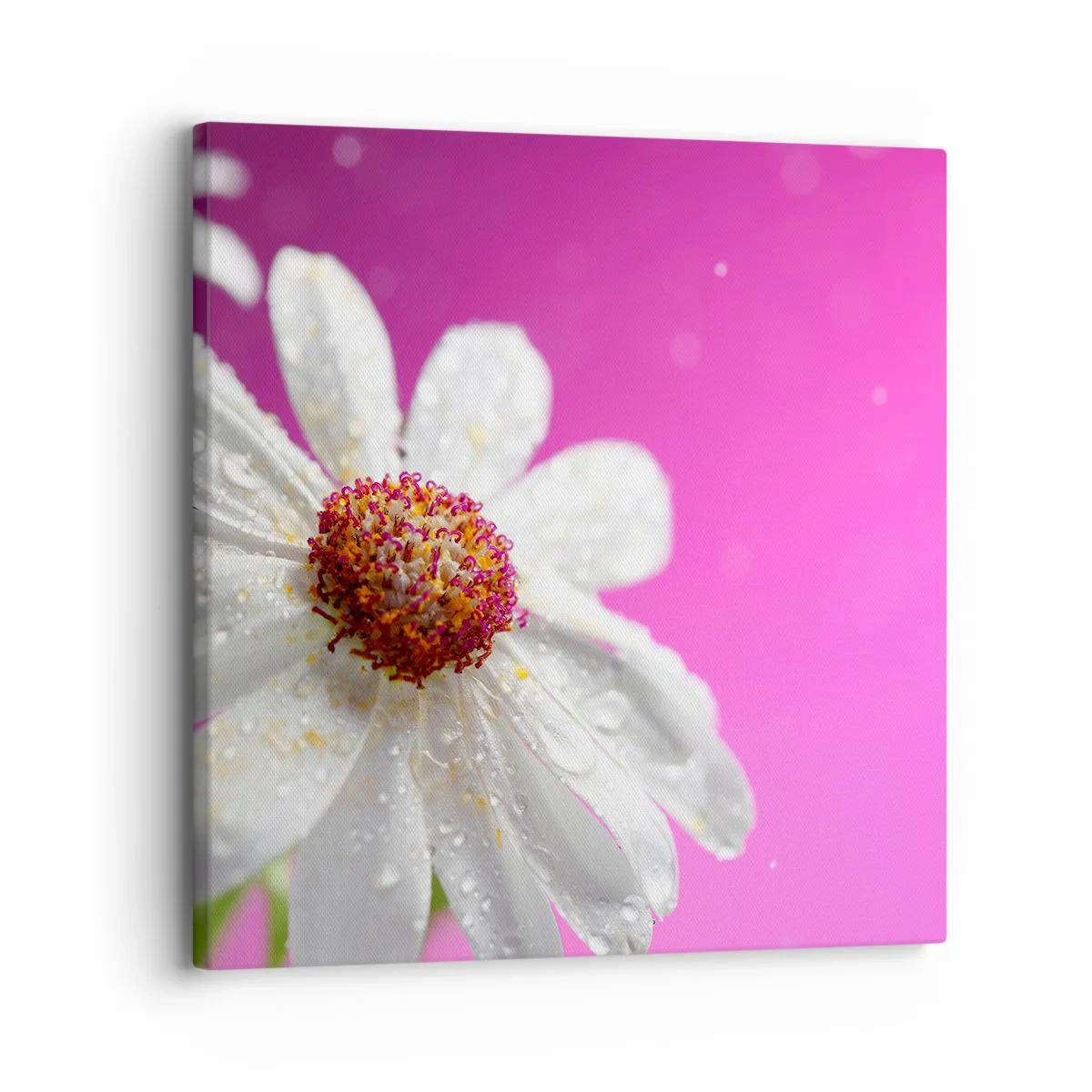 Bild auf Leinwand - Leinwandbild - Bescheiden in seiner Schönheit - 30x30 cm