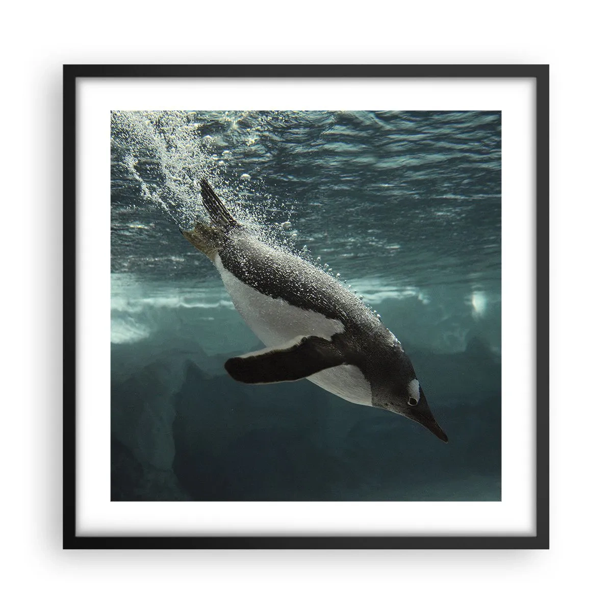 Poster in einem schwarzem Rahmen - Willkommen in meiner Welt - 50x50 cm