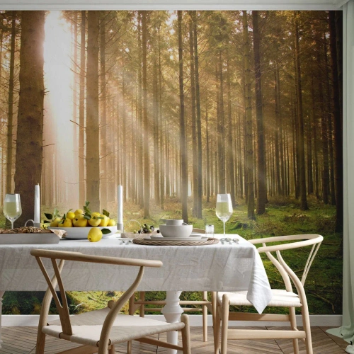Selbstklebende Fototapete Deluxe Sticker - Die Elfen werden bald erscheinen - Wald, Sonnenstrahlen, Natur - 100x70 cm