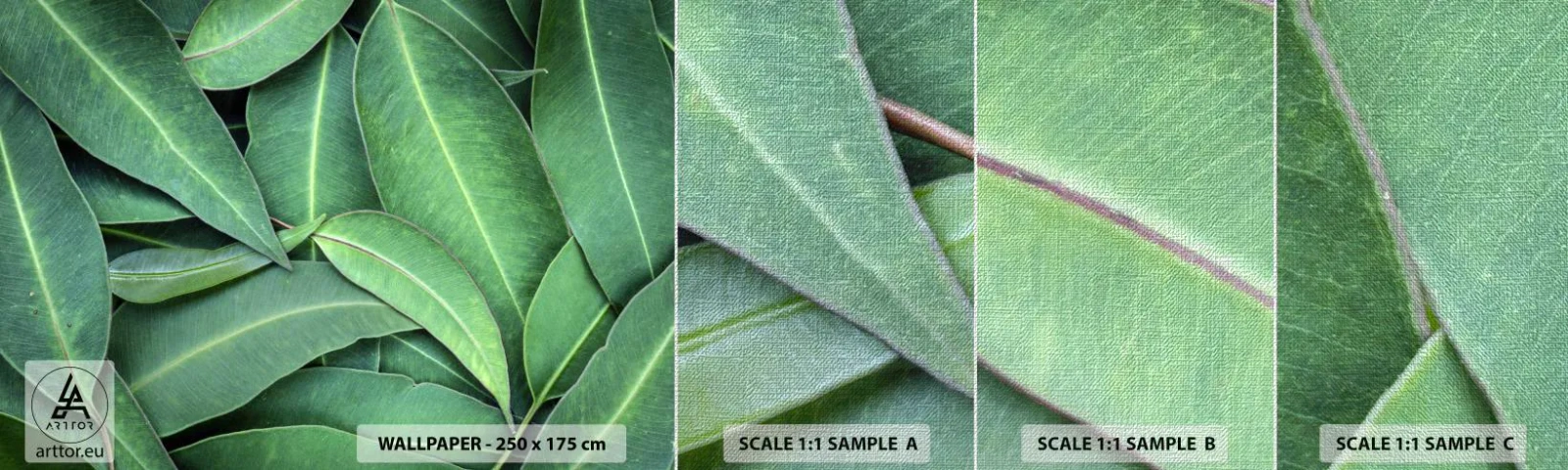 Fototapeten Muster Premium Canvas - Saftig und frisch - Blätter, Eukalyptus, Natur - 100x30 cm