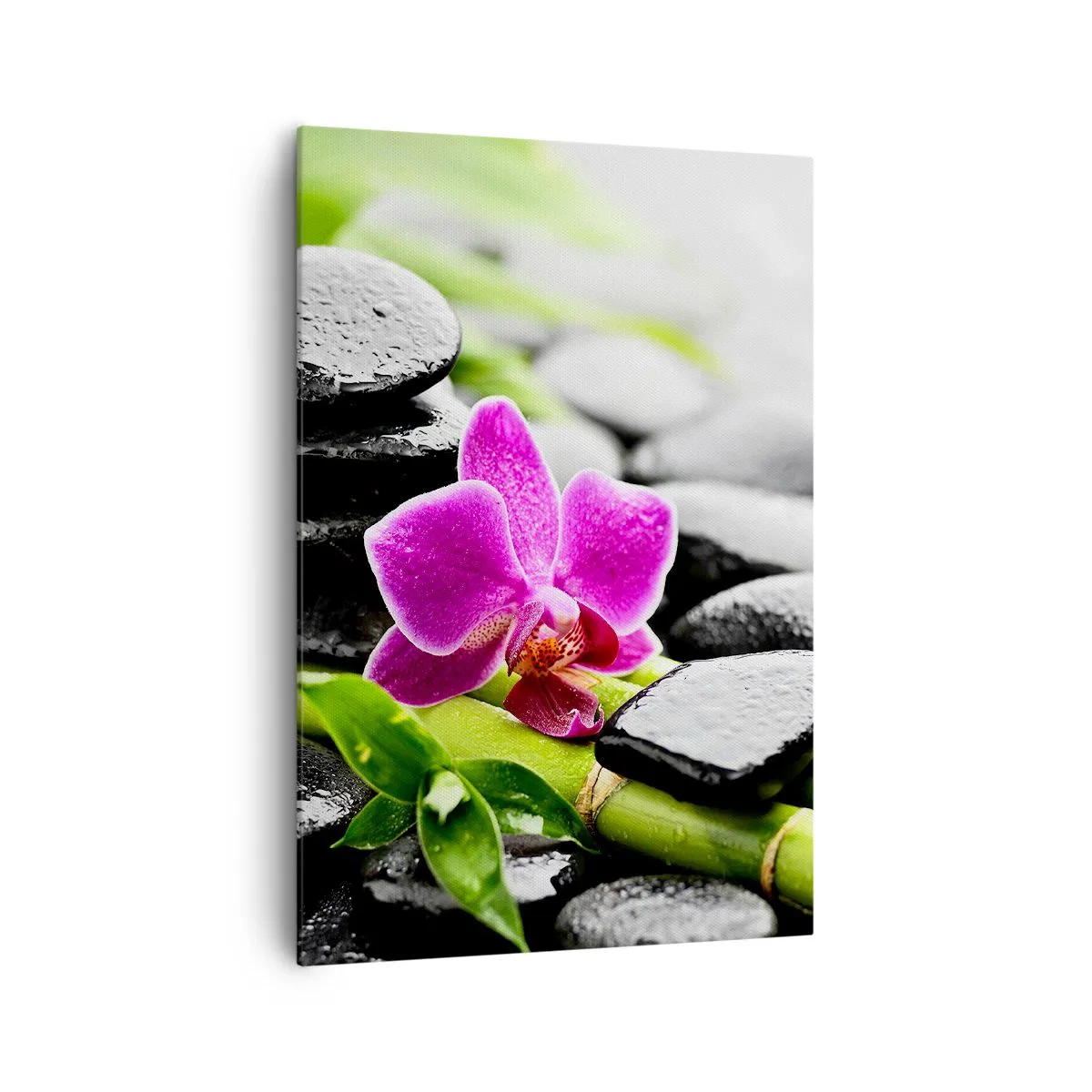 Bild auf Leinwand - Leinwandbild - Lila Orchidee, schwarze Steine und Bambus in einer ruhigen Komposition - 70x100cm - In ruhiger Balance - Moderne Wanddekoration für Wohnzimmer und Schlafzimmer ARTTOR
